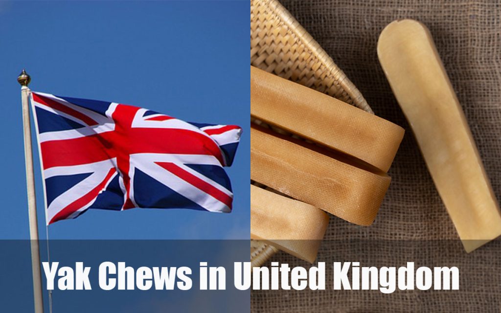 Yak Chews in United Kingdom